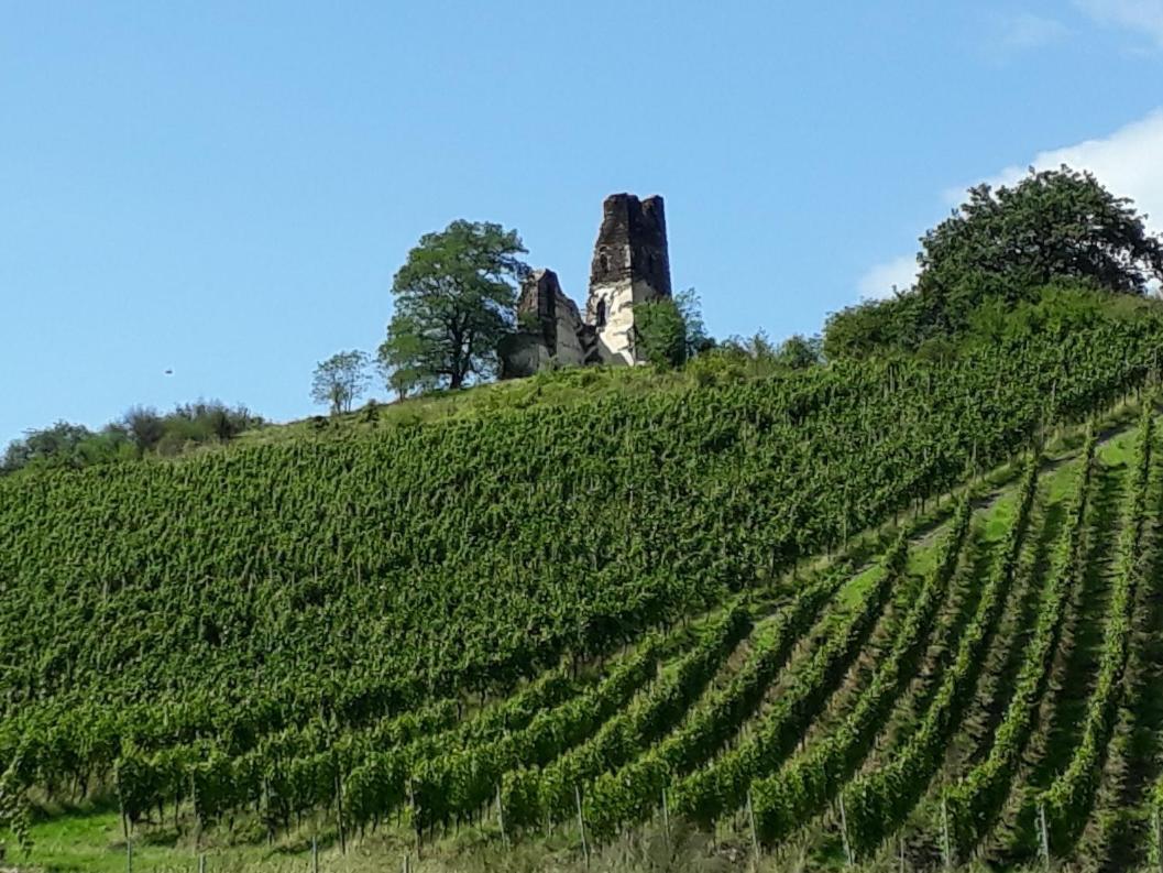 Ferienwohnung Gersch Traben-Trarbach Exteriör bild
